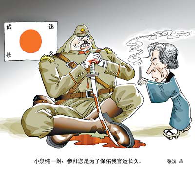 这只猫不太正常